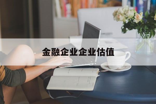 长治市金融企业企业估值(最新企业估值怎么填)
